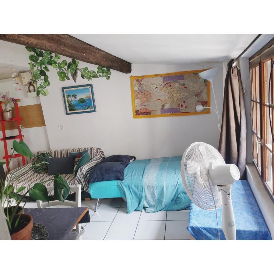Appartement Cosy Au Coeur De Montpellier Bagian luar foto
