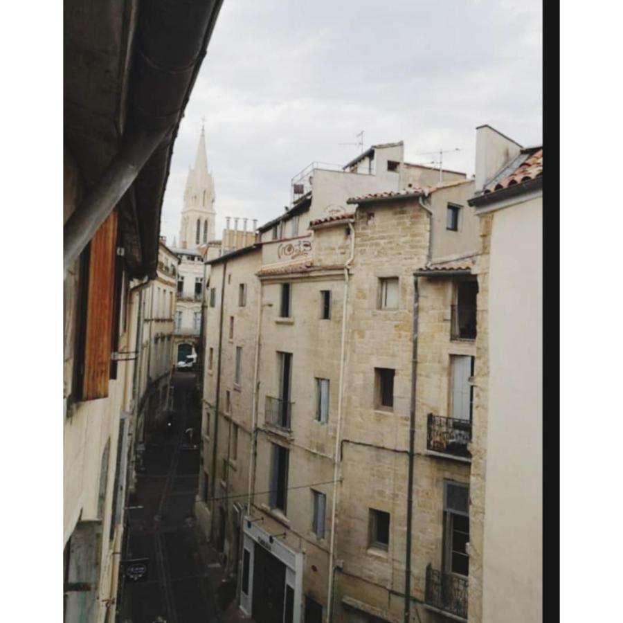 Appartement Cosy Au Coeur De Montpellier Bagian luar foto